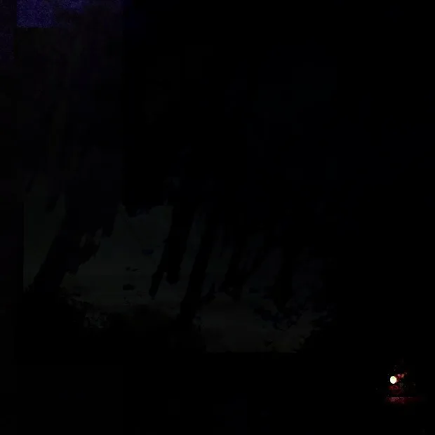 jpegshot