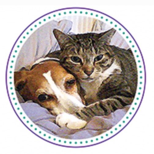@onlykindnessrescue
