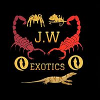 j.w_exotics