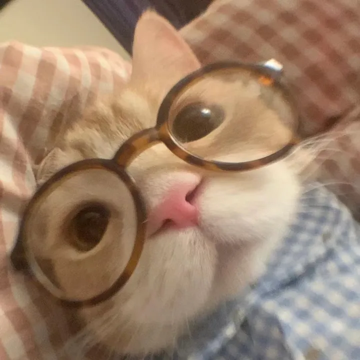 xiongbaii