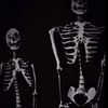 onlybonez