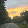lanie_398