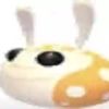 hopbopkid4