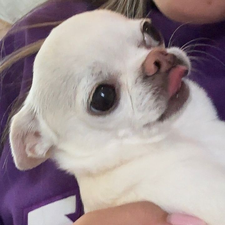 paigearoonie12