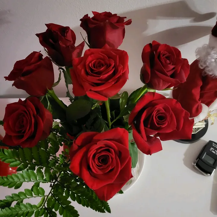 gilda_102