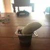 quadirnasirishere3