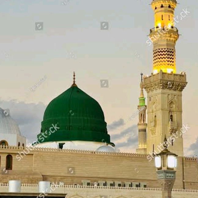 qasimakash8