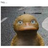quackelpato56