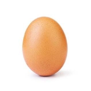 timmy_egg__