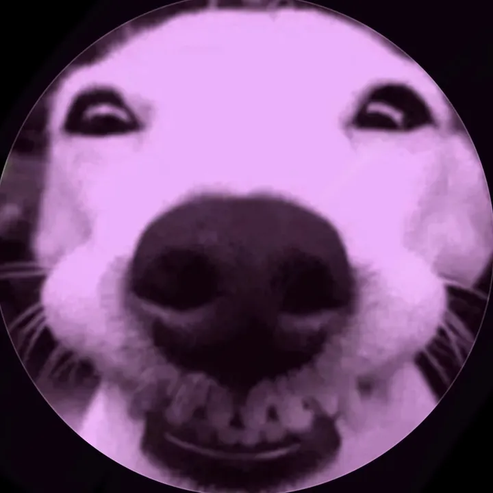 @_zootttt