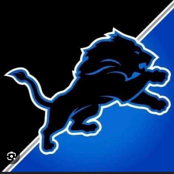 detroitlions31345