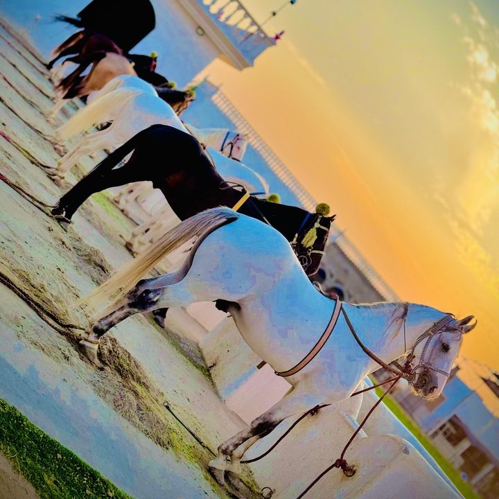 babarraja373