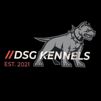 dsg_kennels