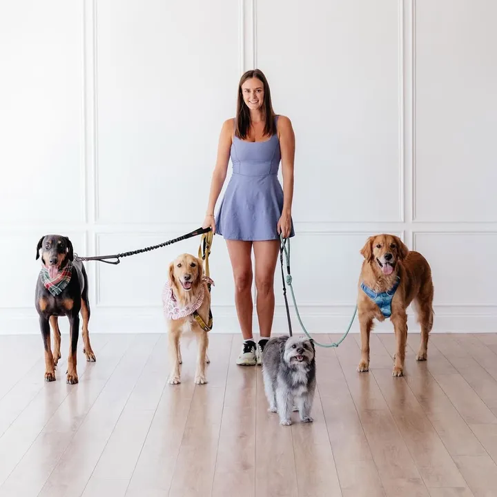 dallas_dog_walker