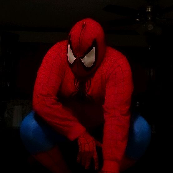 @thesarcasticspiderjerk
