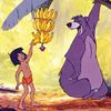 mowgli.techh