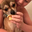 @sergioterry3