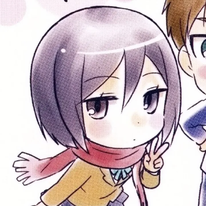 mikasanator