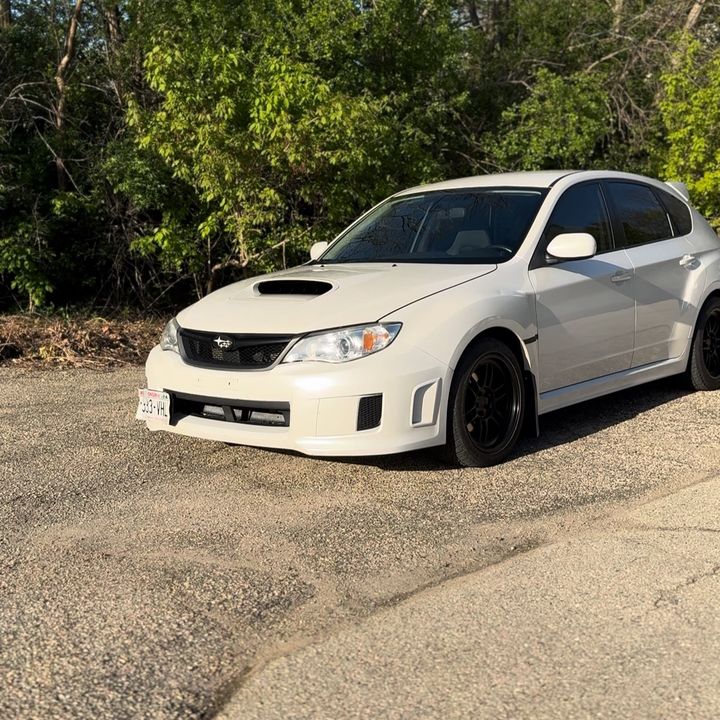 scoobsthesubie