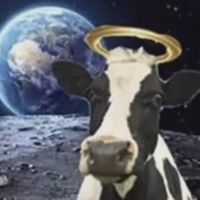 cowcatcher16