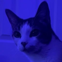 🌑Moony🌑 - original sound - moony.gt