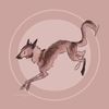 xaria.pack
