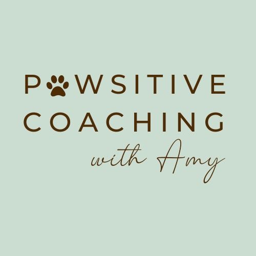 pawsitivecoachingwithamy