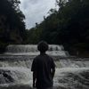 elliotales