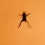 cypress_cryptid_vibes