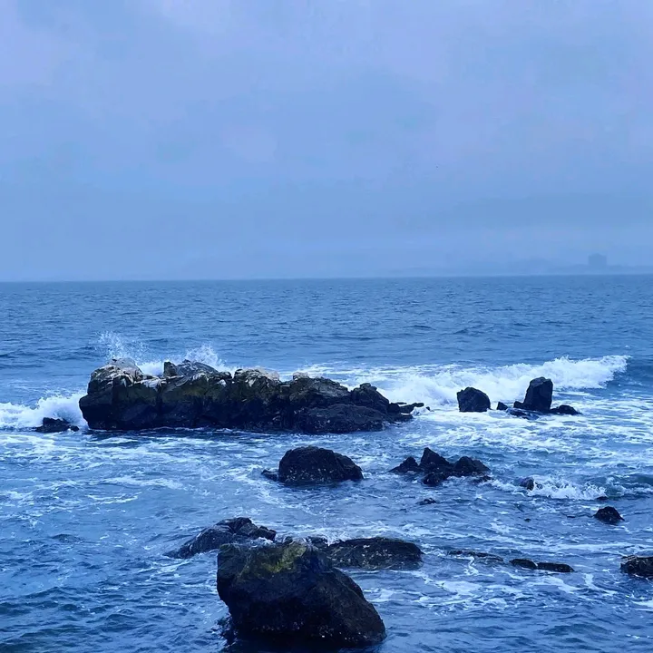 nguynvnhthy3115