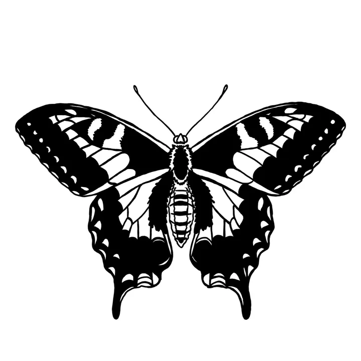 enchantedwings.co
