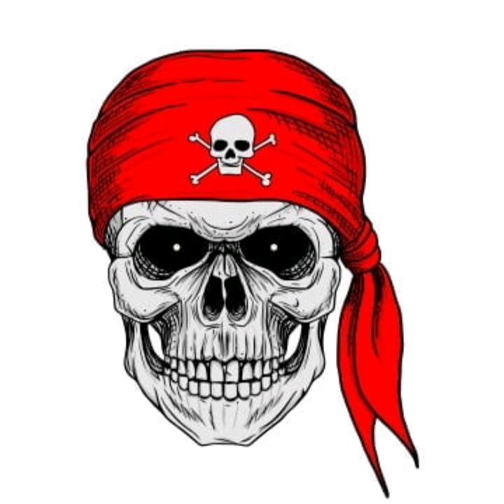 pirateskullvr