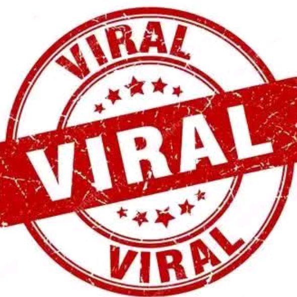 viral.videos6145