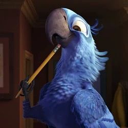 riothebird122