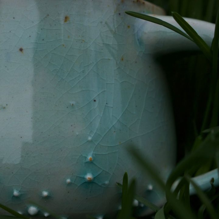 lupinepottery