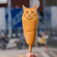 ilovecorndogcat