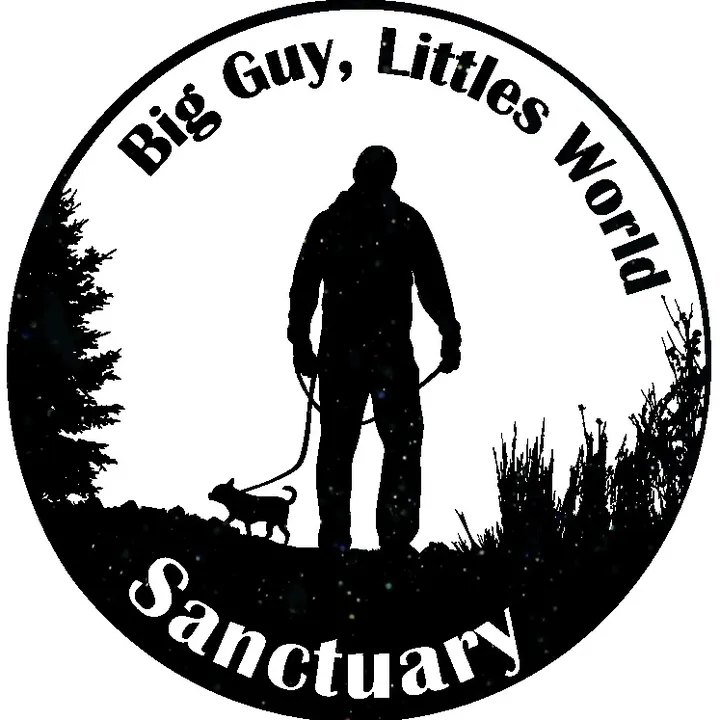 @littlesbigworld