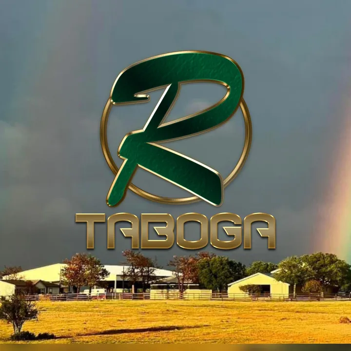 rtabogacuttinghorses