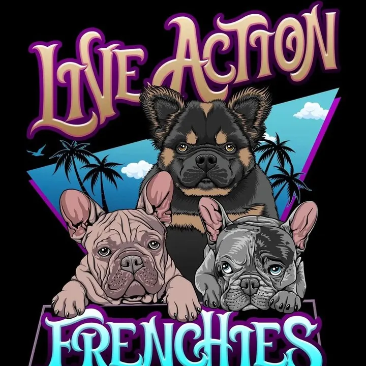 liveactionfrenchies