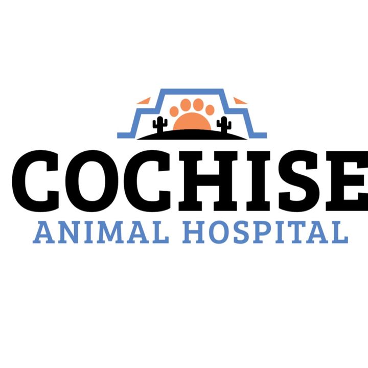 @cochiseanimalhospital