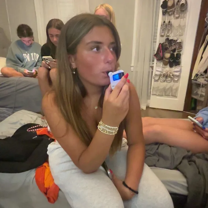 sofdoggy
