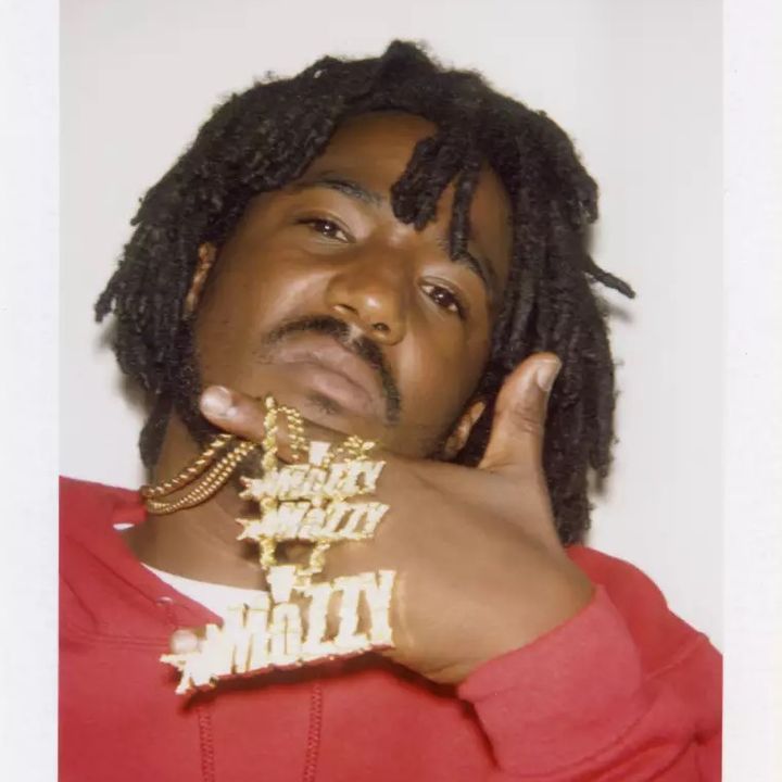 mozzyarchive