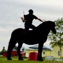 @dark_horse_archer