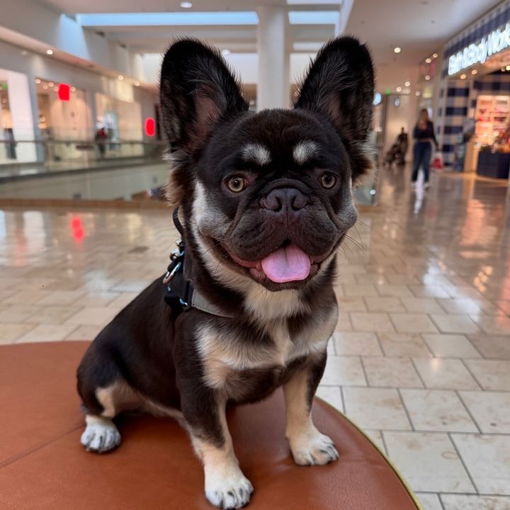 fluffychurro