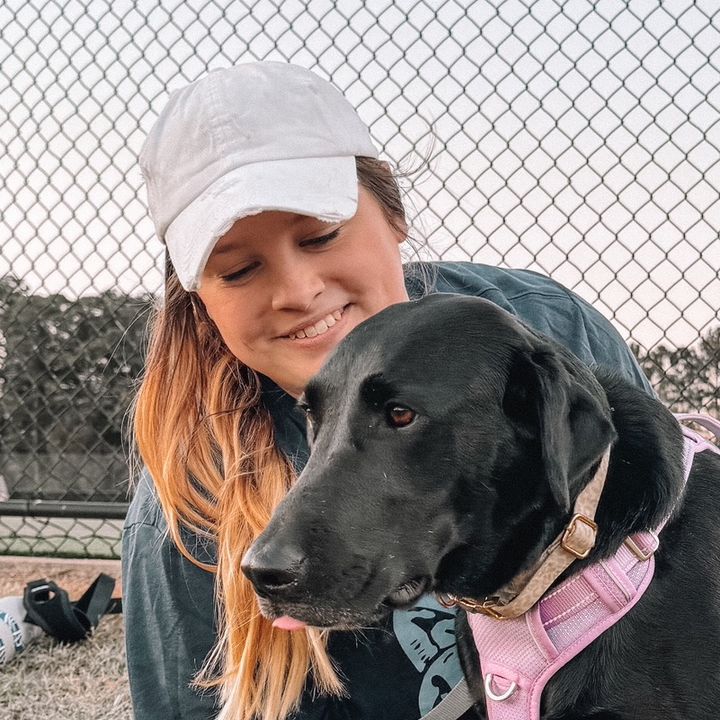 @ellieshistorylab