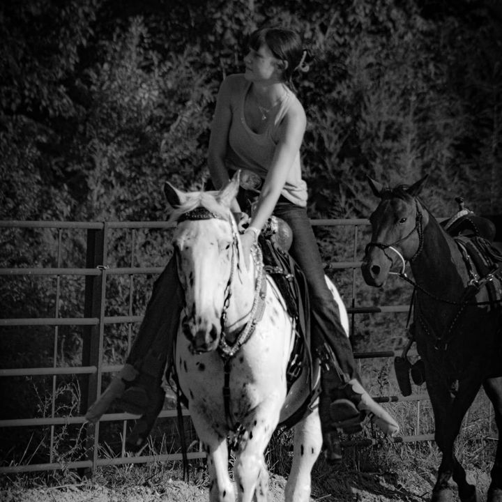 abby.s_horses