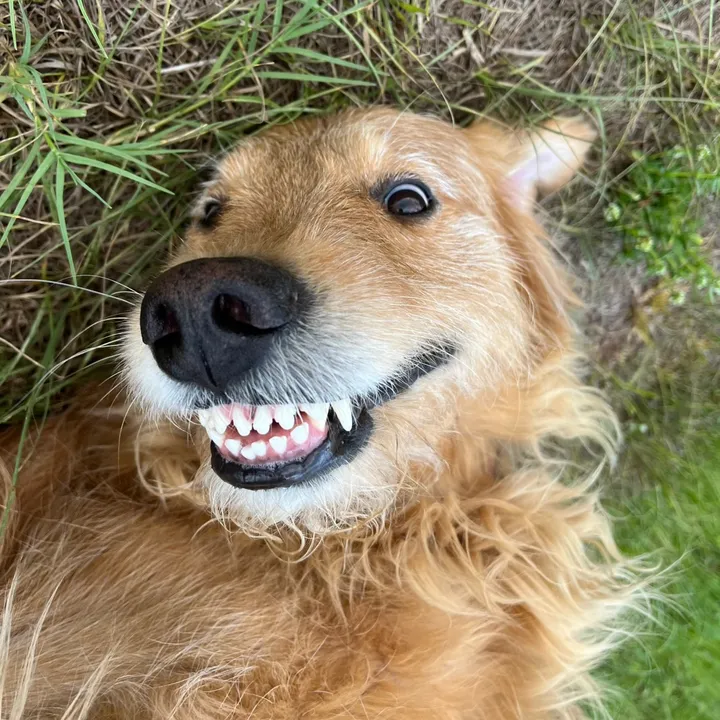 leo_thedoodle5