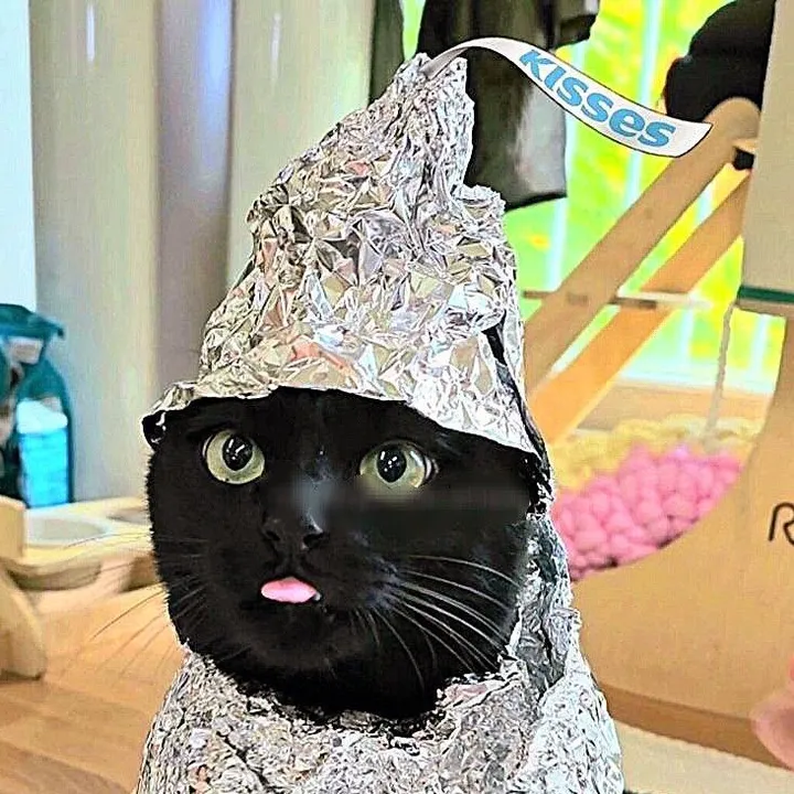 voidcatz