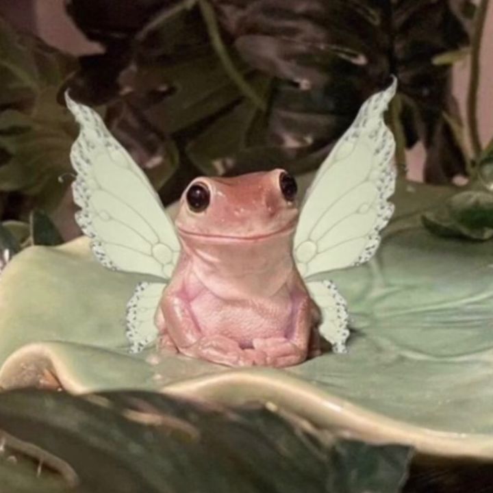 elodiethefairy