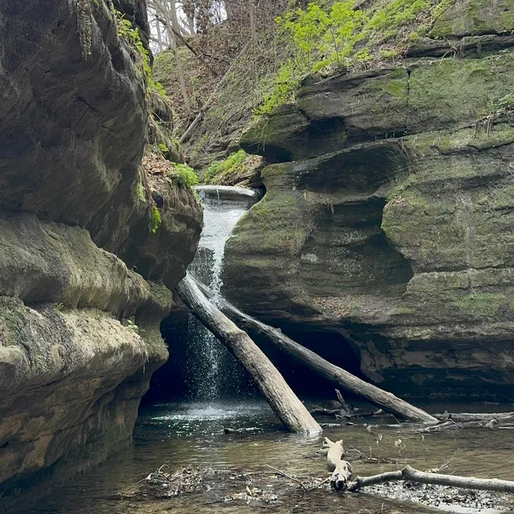 starved.rock.stat